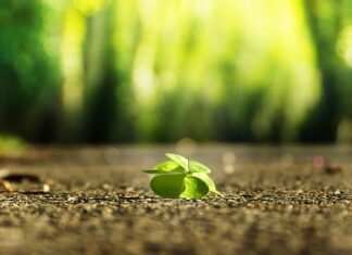 Jak znaleźć sprawcę wypadku po numerze rejestracyjnym? Jak znaleźć sprawcę wypadku po numerze rejestracyjnym?