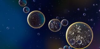 Co ile wymiana oleju fiat tipo?