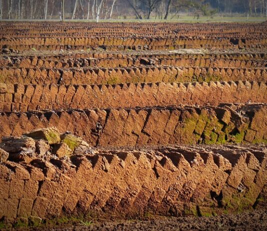 Czy torf trzeba mieszać z ziemią?
