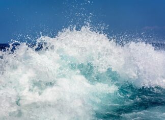 Czym się różni Lazura od bejcy?