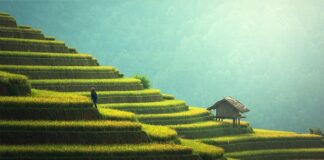 Czy taras wytrzyma jacuzzi?