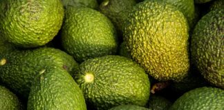 Jak podaje się Americano?