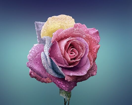 Czym się różni stał A2 od A4?