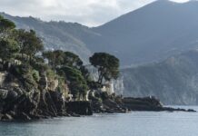 Ile kosztuje Daewoo Tico?