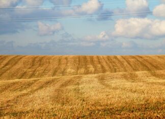 Jak Odsłonić cegłę spod tynku?
