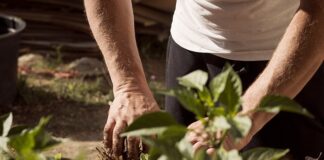 Jak sprawdzić czy jest uziemienie?