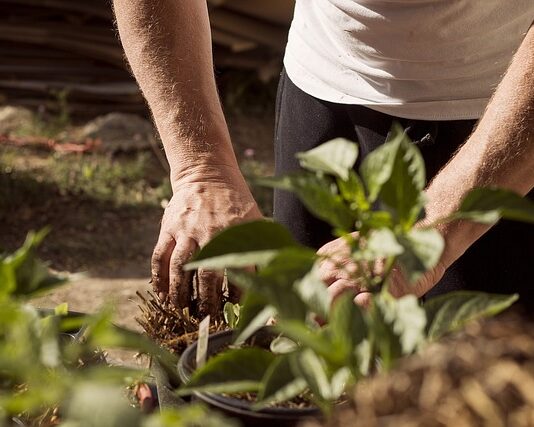 Jak sprawdzić czy jest uziemienie? Jak sprawdzić czy jest uziemienie?
