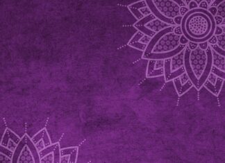 Jaki mandat za brak światła cofania? Jaki mandat za brak światła cofania?