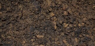 Co jest przyczyną zalewania świecy?