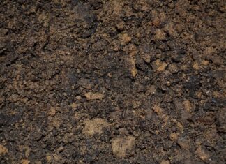 Co jest przyczyną zalewania świecy?