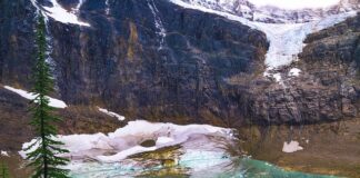 Jak wykonać połączenie ocieplenia ściany z fundamentem?