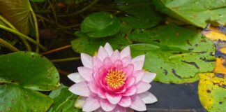 Czy można jeździć z uszkodzonym podkładka pod wtryskiem?